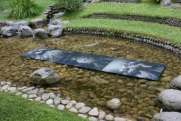 festival Mondes en commun